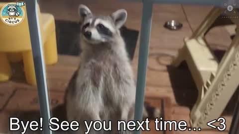 Ryan aka KeylimeRy online show from 10-24-25, 12:52