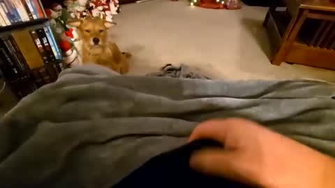 robbiebob6828 online show from 01-09-26, 04:26