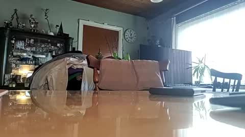 Snapshot of robke1966 chatting on 01-22-25, 11:56 robke1966 online show from 01-22-25, 11:56