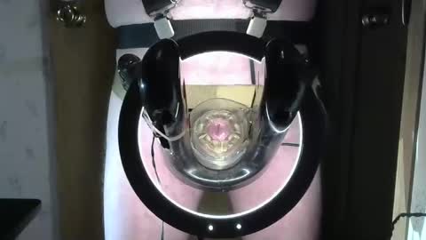 Robodickmilker online show from 01-24-25, 12:31