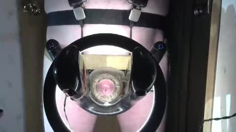 Robodickmilker online show from 02-01-25, 08:18