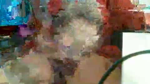Snapshot of rocco1962 chatting on 02-11-26, 11:48 Rocco aka DaddyRoc online show from 02-11-26, 11:48