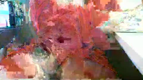 Snapshot of rocco1962 chatting on 02-18-26, 12:12 Rocco aka DaddyRoc online show from 02-18-26, 12:12