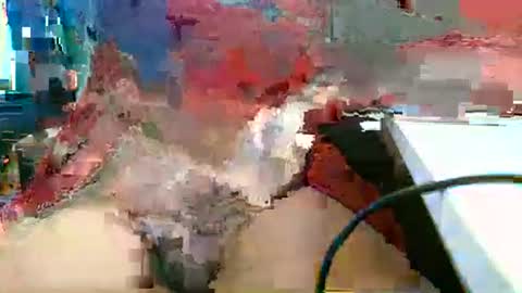 Snapshot of rocco1962 chatting on 03-01-26, 01:13 Rocco aka DaddyRoc online show from 03-01-26, 01:13