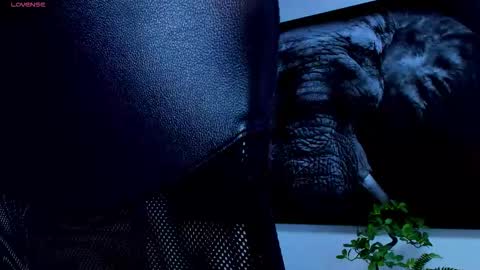 Snapshot of roccosaints_1 chatting on 02-25-26, 06:01 santos online show from 02-25-26, 06:01