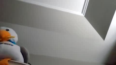 rodbuilttough79 online show from 11-08-25, 02:28