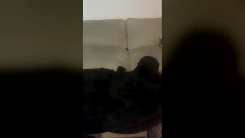 rogerbenid81 online show from 04-19-26, 11:07