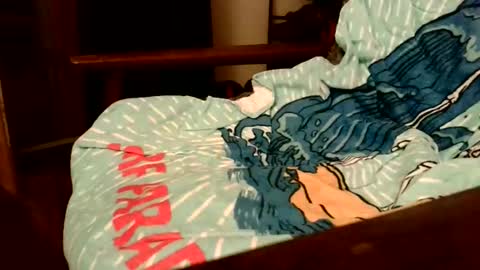 Snapshot of rogerrush chatting on 11-15-25, 10:56 rogerrush online show from 11-15-25, 10:56