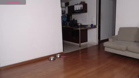 Snapshot of rogger_physique chatting on 02-21-25, 03:12 Rogger online show from 02-21-25, 03:12