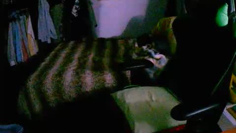 Snapshot of roketero93 chatting on 12-16-25, 08:03 roktero 90 online show from 12-16-25, 08:03