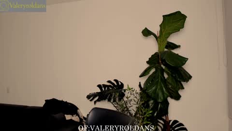 Valery Roldans online show from 02-04-25, 03:44