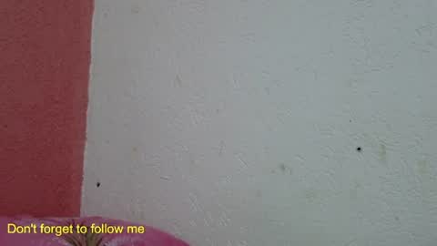 Snapshot of ronnispoto chatting on 01-31-25, 10:10 ronny online show from 01-31-25, 10:10