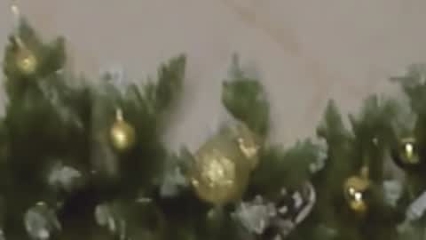 Snapshot of rosa1ia chatting on 12-27-24, 10:05 Chloe online show from 12-27-24, 10:05