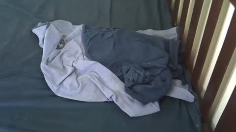 Rosey online show from 04-06-26, 04:46