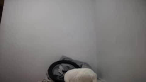 rosea_lune online show from 09-16-25, 04:41