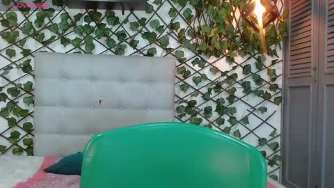 Rous online show from 12-27-24, 02:58