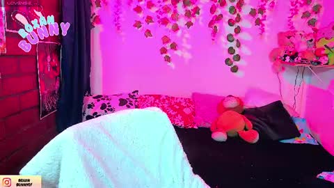 Snapshot of roxanbunny chatting on 07-18-26, 03:44 roxxy online show from 07-18-26, 03:44