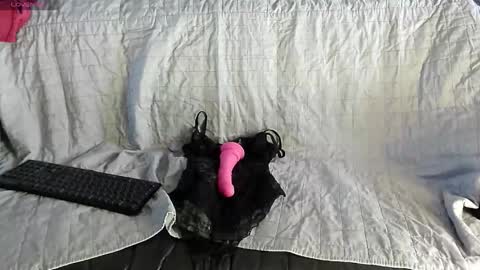 Snapshot of roxaneramirez chatting on 05-06-26, 06:08 roxaneramirez online show from 05-06-26, 06:08
