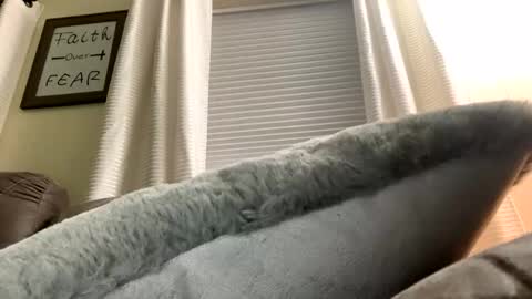 Snapshot of rs006 chatting on 01-12-26, 02:17 rs006 online show from 01-12-26, 02:17