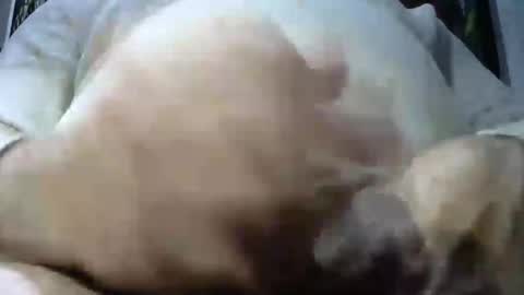 ruggy35 online show from 12-07-24, 07:38