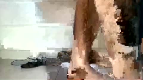 tareq online show from 12-05-24, 06:33