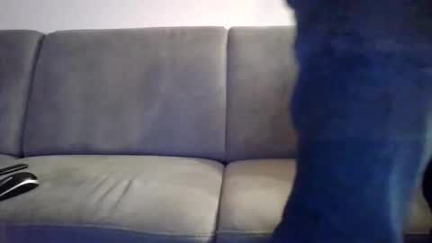 runner_1978 online show from 05-10-26, 08:25