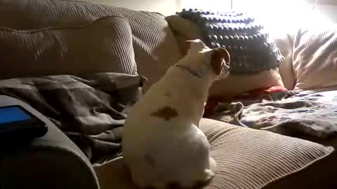 Snapshot of rustyx22 chatting on 10-18-25, 02:25 Rusty online show from 10-18-25, 02:25