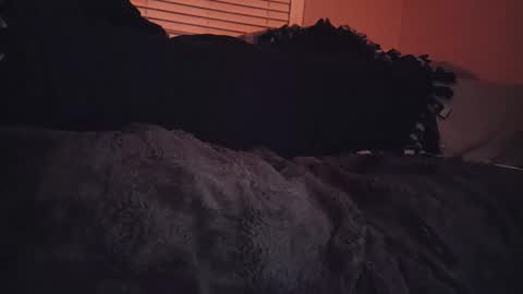 Snapshot of ryanfc85 chatting on 11-06-25, 07:09 RFC666 online show from 11-06-25, 07:09