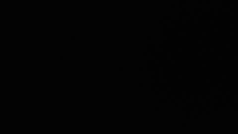 Ryushi009 online show from 01-24-25, 03:32