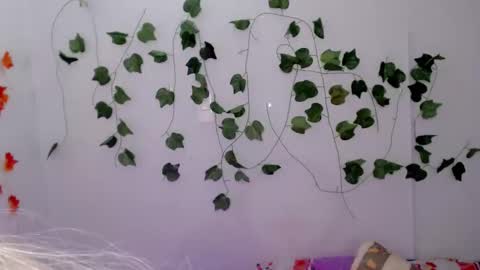 SABRI online show from 01-26-25, 01:25