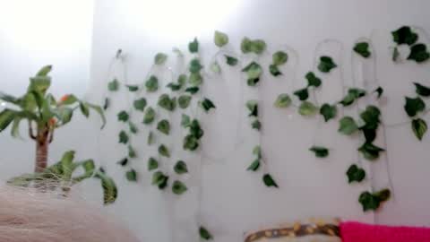 SABRI online show from 09-25-25, 05:11