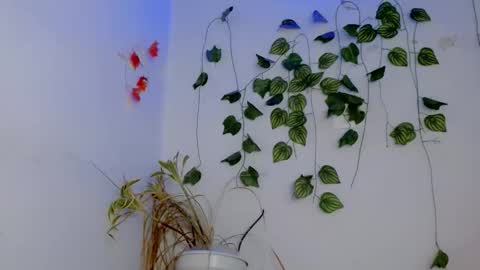 SABRI online show from 04-04-26, 03:09