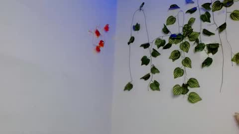 SABRI online show from 04-10-26, 01:38