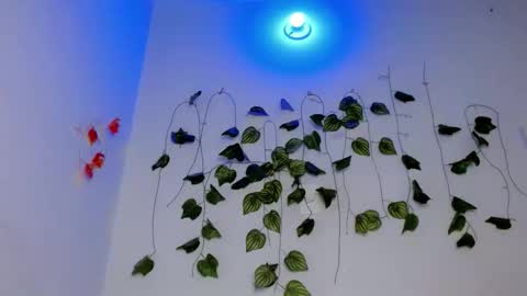 SABRI online show from 04-17-26, 07:17