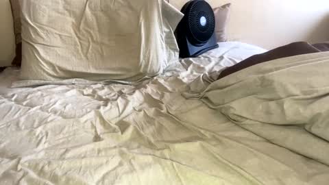 Snapshot of sackskincreamer chatting on 01-26-25, 09:18 R online show from 01-26-25, 09:18