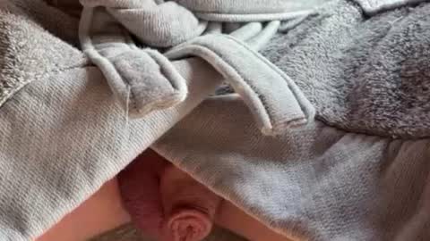 Snapshot of saconuts chatting on 02-13-26, 08:54 saconuts online show from 02-13-26, 08:54