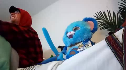 salis1981 online show from 01-22-25, 02:04