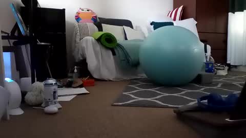 salis1981 online show from 02-25-25, 12:58