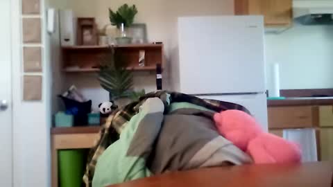 salis1981 online show from 10-16-25, 06:31