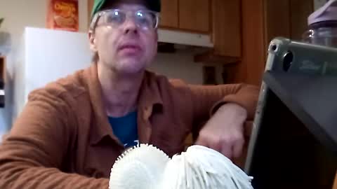 salis1981 online show from 11-21-25, 07:01