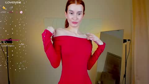 Snapshot of sallybiscuit chatting on 01-30-25, 04:45 Sally online show from 01-30-25, 04:45