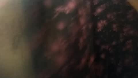 salmonman1305 online show from 01-17-25, 11:49