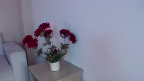 Snapshot of salome__2002 chatting on 07-06-26, 12:13 salome__2002 online show from 07-06-26, 12:13