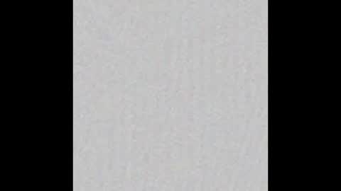 salo online show from 12-15-25, 12:04