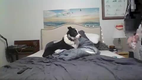 Snapshot of salsbud2022 chatting on 02-28-25, 02:53 salsbud2022 online show from 02-28-25, 02:53