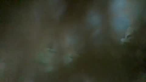 Snapshot of sam223382879 chatting on 01-01-25, 11:40 sam223382879 online show from 01-01-25, 11:40