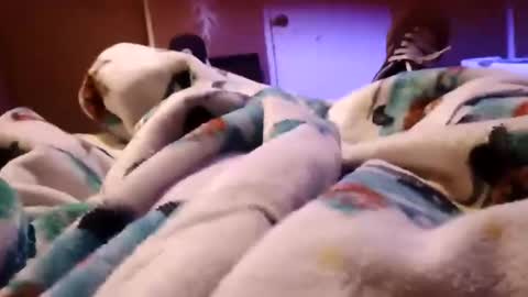 sam44444446 online show from 11-27-25, 09:22