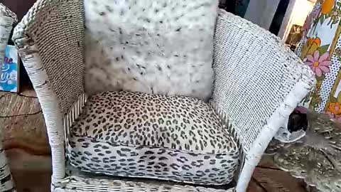 samboiamtho online show from 04-03-26, 06:06