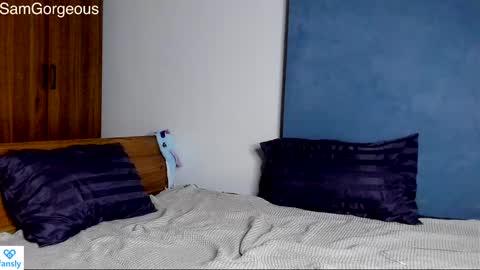 Snapshot of samgorgeous chatting on 12-09-24, 03:11 Fansly - Top4fans online show from 12-09-24, 03:11