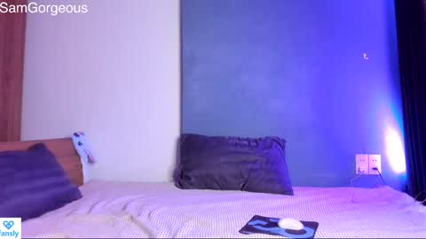 Snapshot of samgorgeous chatting on 12-14-24, 08:08 Fansly - Top4fans online show from 12-14-24, 08:08